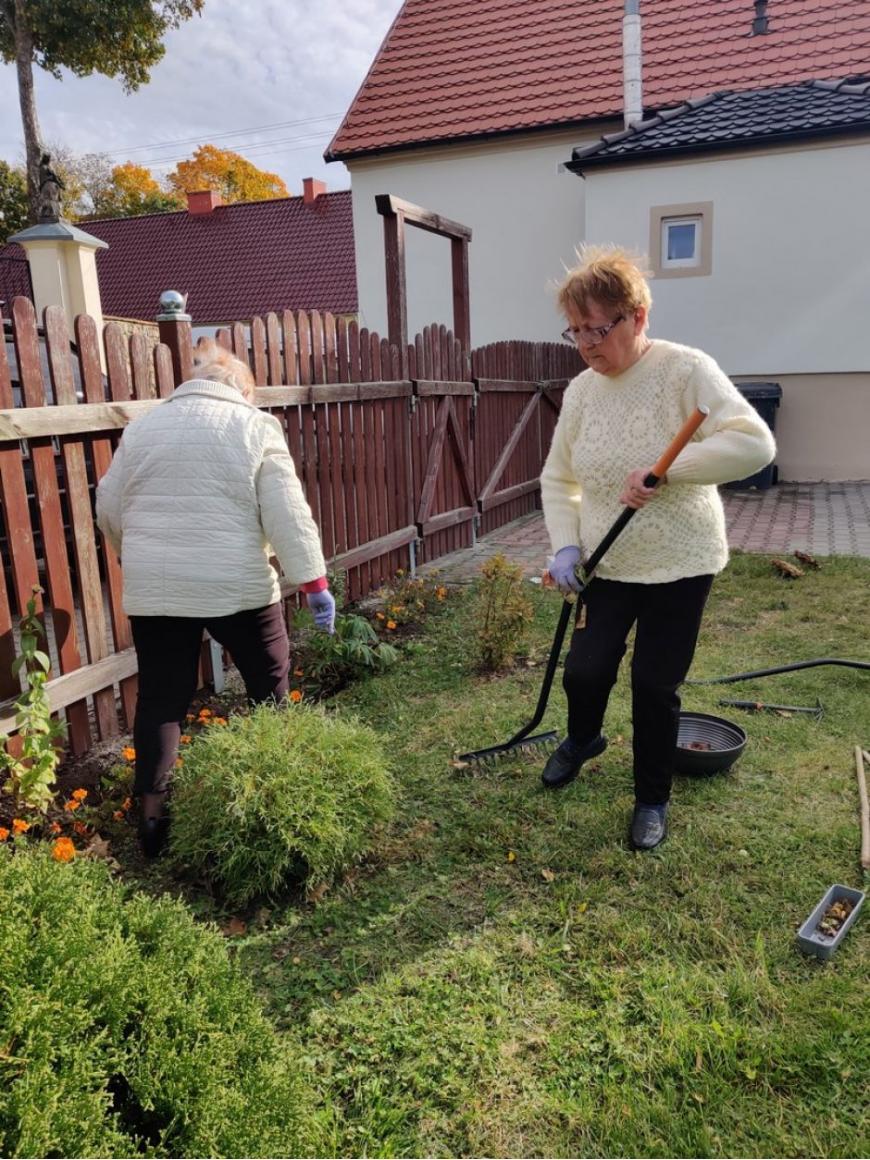 dwie starsze osoby grabią trawnik