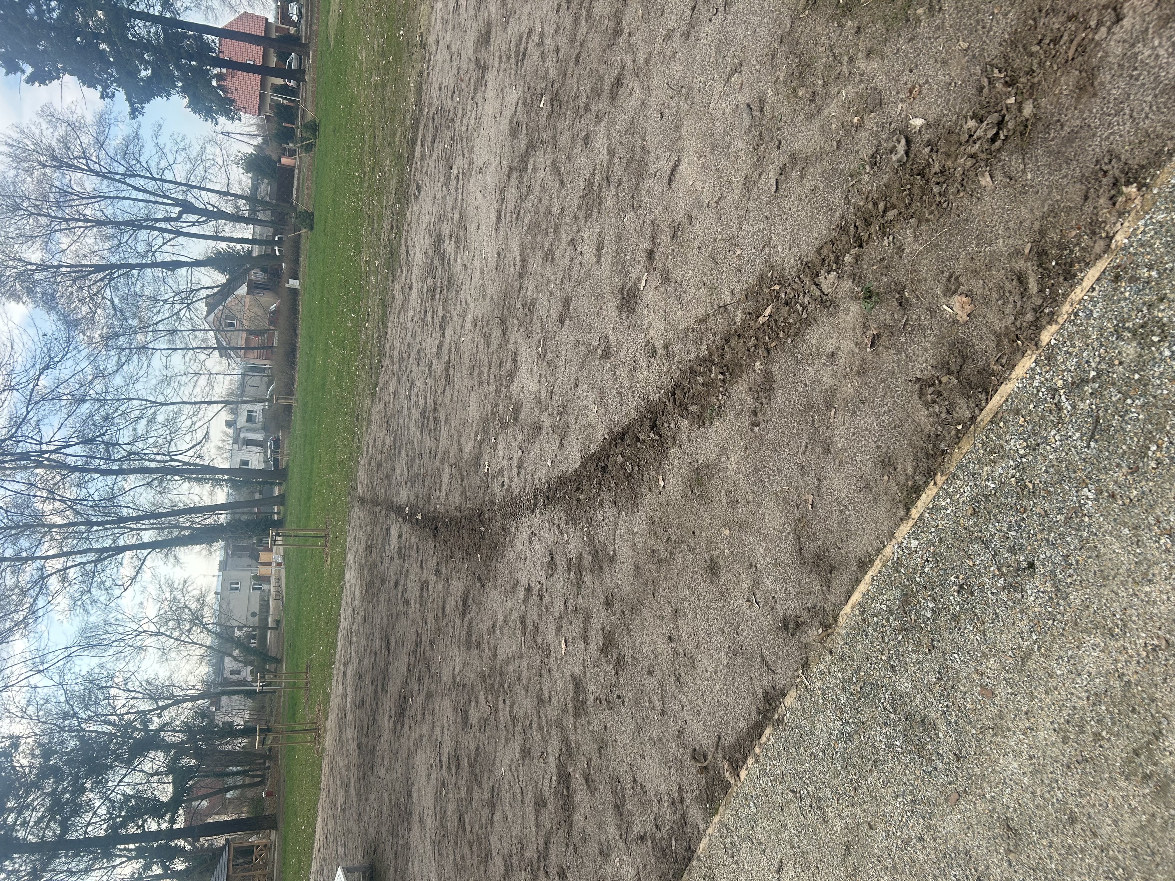 Zniszczone ścieżki w parku w Świdnicy