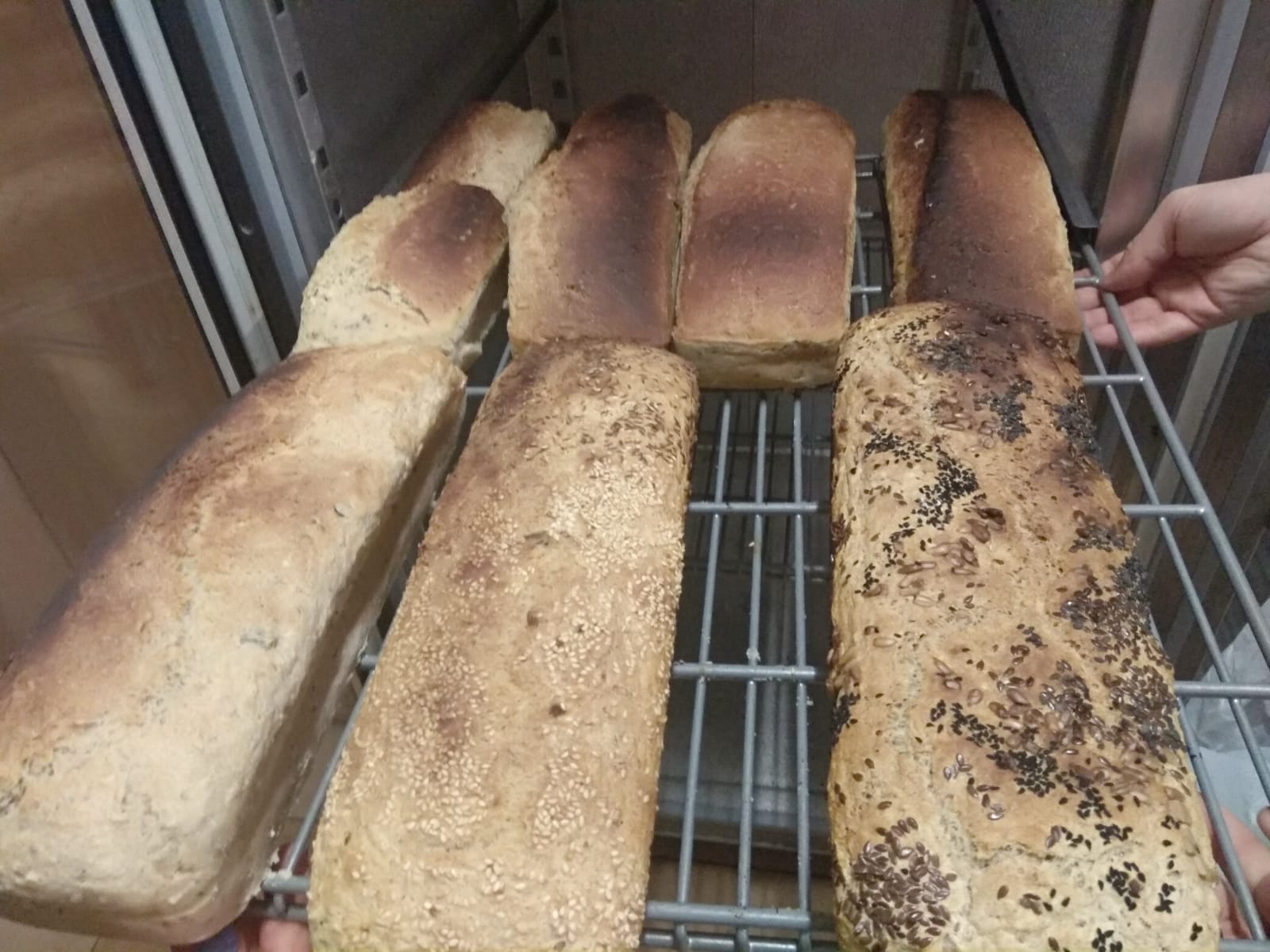 Warsztaty pieczenia chleba w Wilkanowie